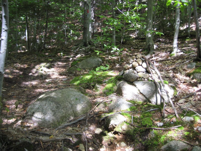 MtBayle (8).JPG - The beginning of the hike up Bayle Mountain was marked by a carin on the side of the trail and a red blaze on a tree in the woods.